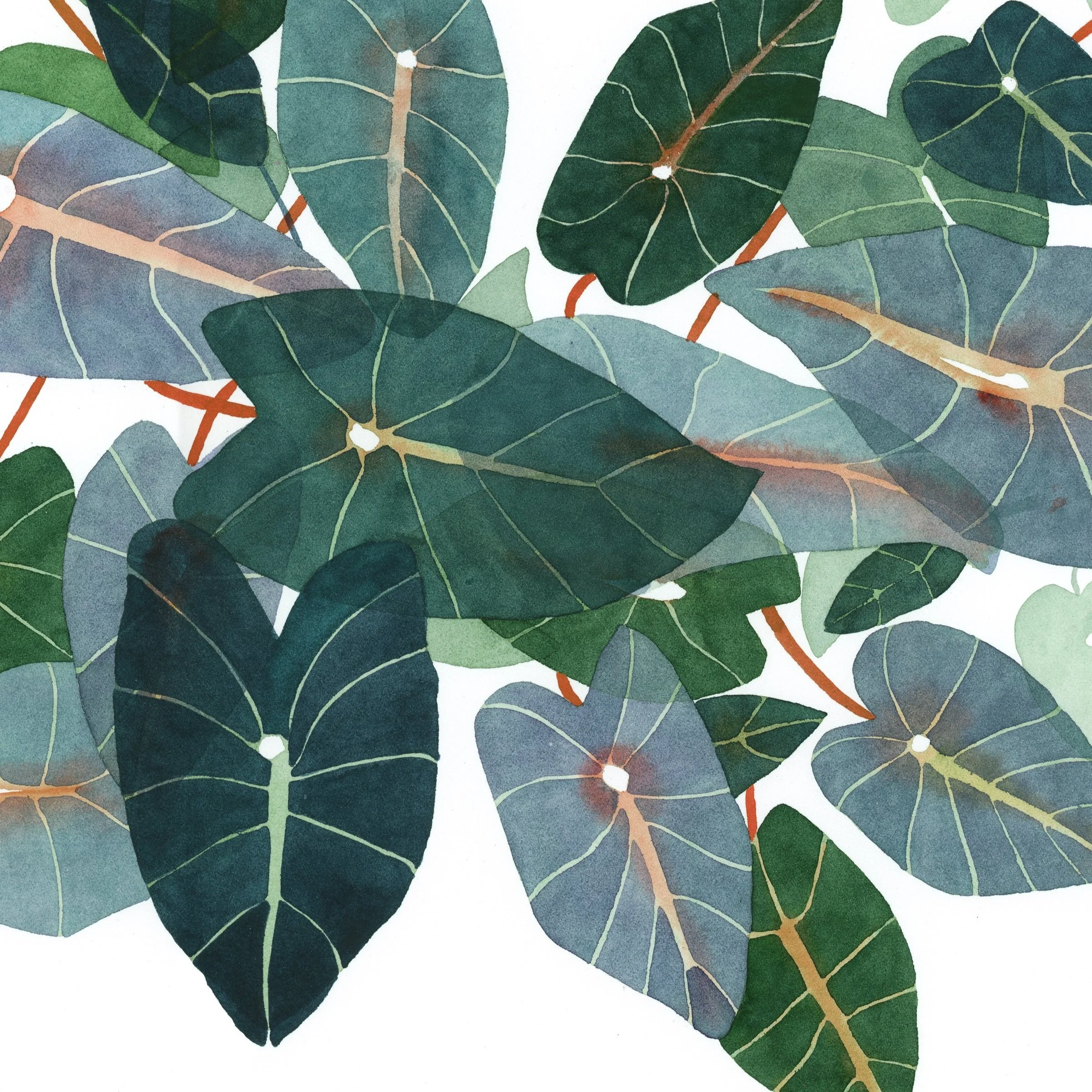 May We Fly — May Hawthorn + Lily of the Valley | 8x10